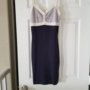 BCBG Bodycon Dress